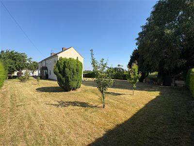 Picture 25